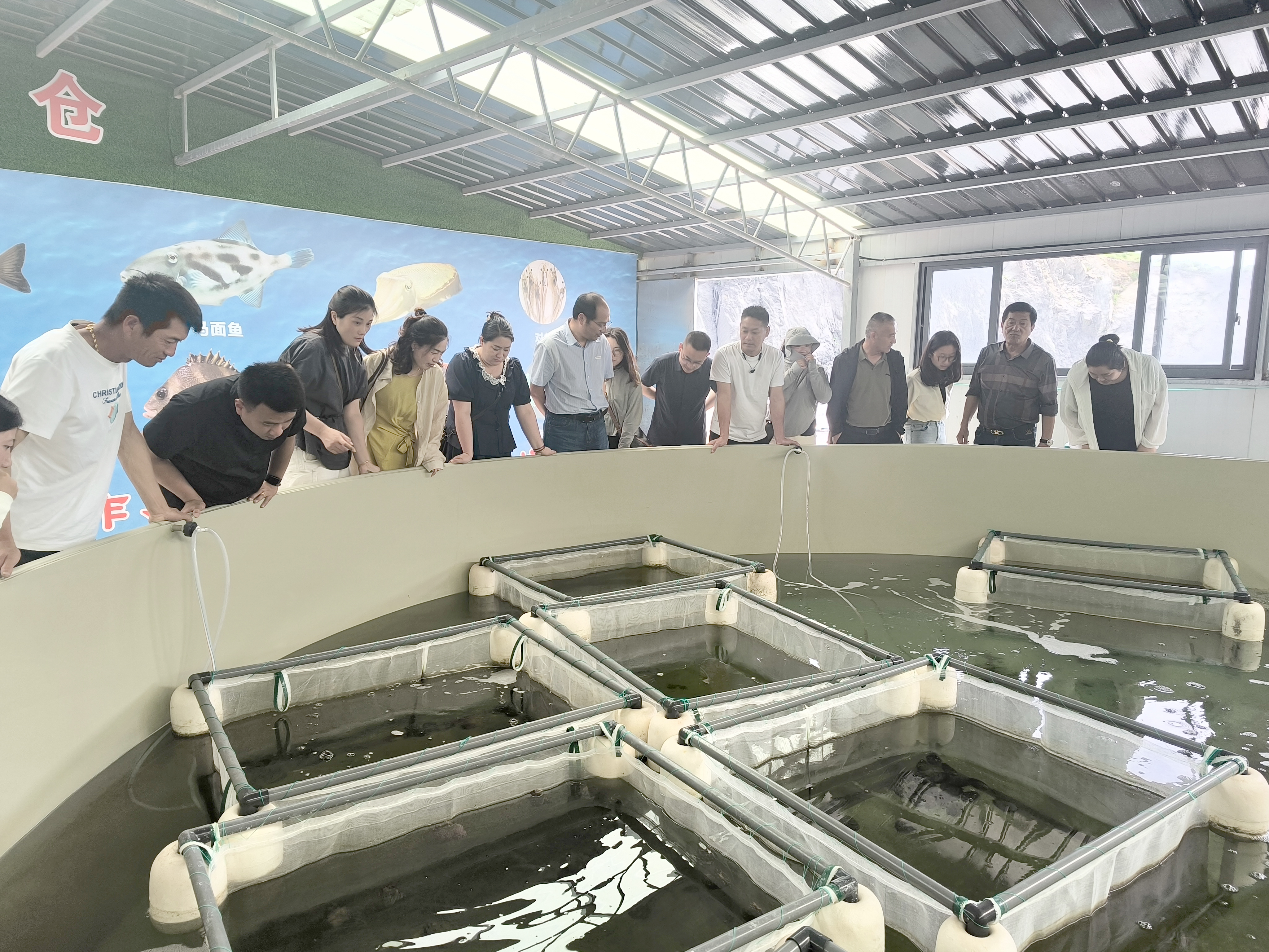 海水养殖2.jpg 海水养殖2.jpg