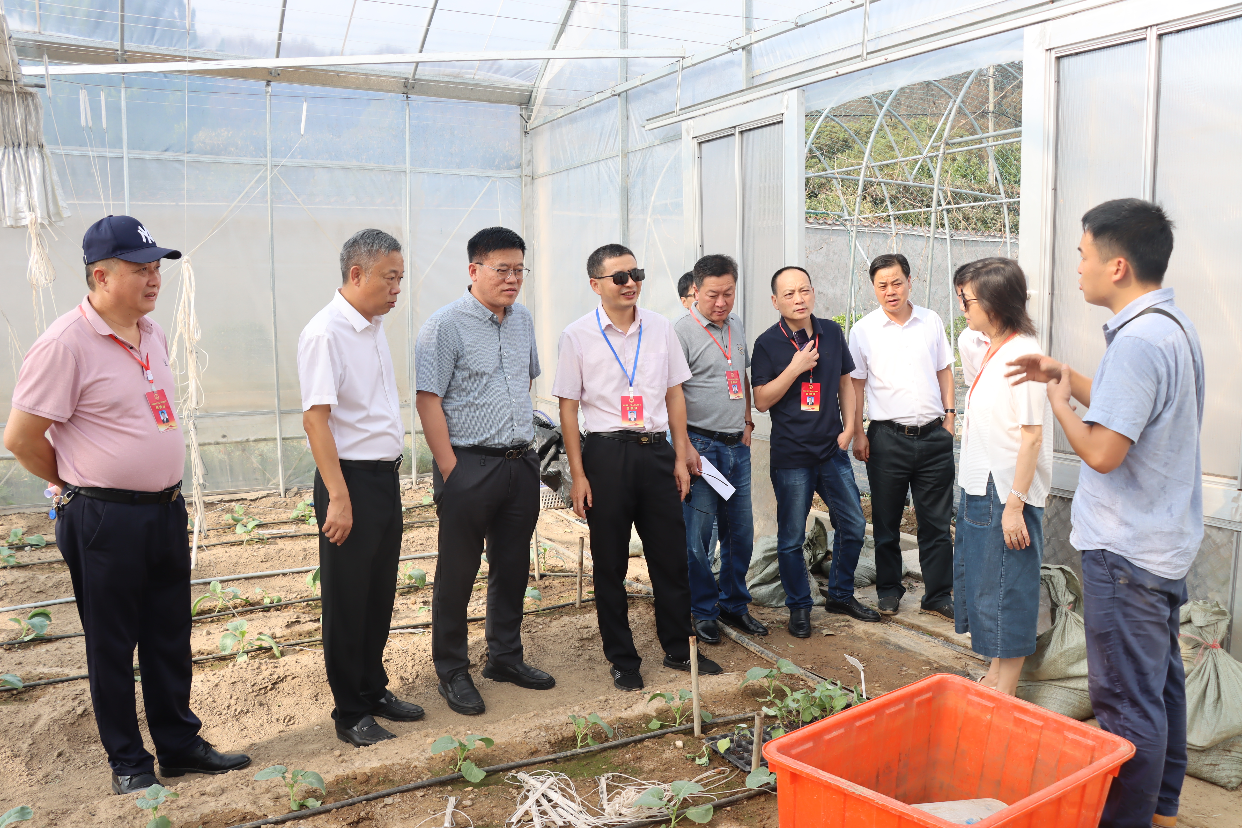 基湖农业示范基地-1.jpg 基湖农业示范基地-1.jpg